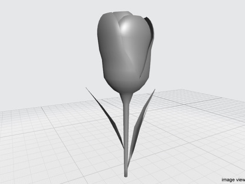 Flower - Tulip 3Dモデル