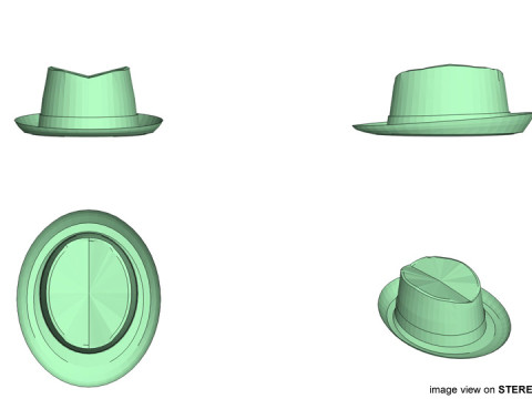 Hat - Trilby 3D Model