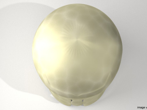 Ancient Combat Helmet- Greek Corithian 3D Model