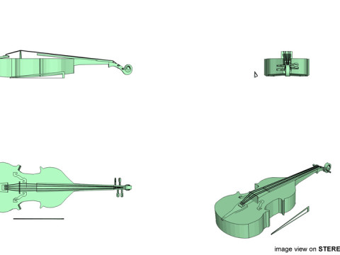 Viola 3D Model