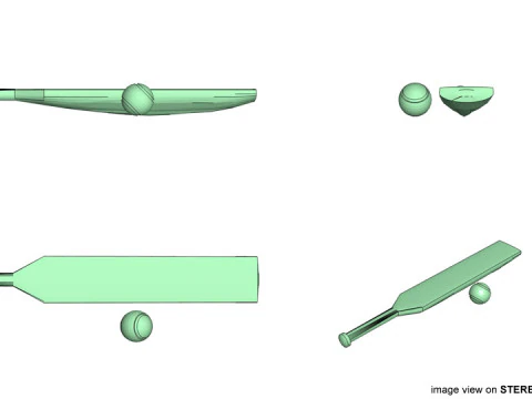 Sport Equipment - Cricket 3D Model