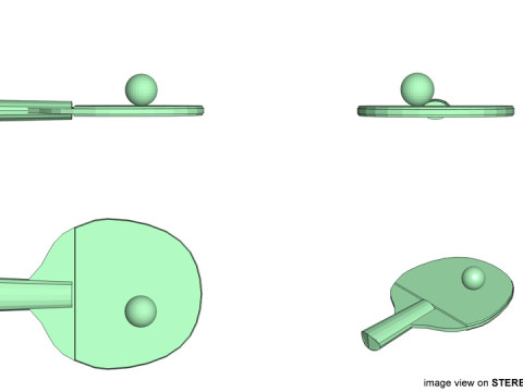 Sport Equipment - Ping-Pong Modello 3D