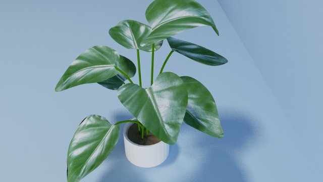 philodendron 3D Model .c4d .max .obj .3ds .fbx .stl .blend 