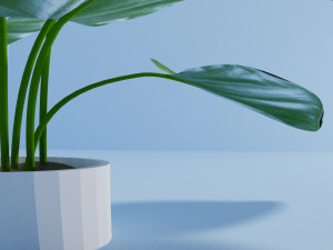 philodendron 3D Model