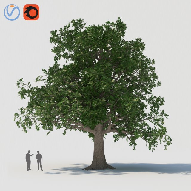 tree003 3D Model .c4d .max .obj .3ds .fbx .stl .blend 