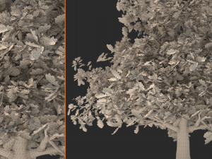 tree003 3D Model