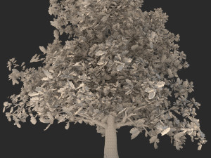 tree003 3D Model