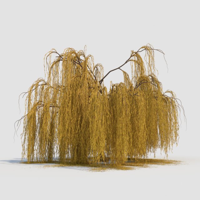 weeping willow tree 3D Модель .c4d .max .obj .3ds .fbx .stl .blend 