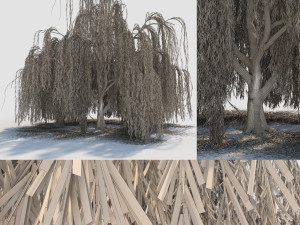 weeping willow tree 3D Модель
