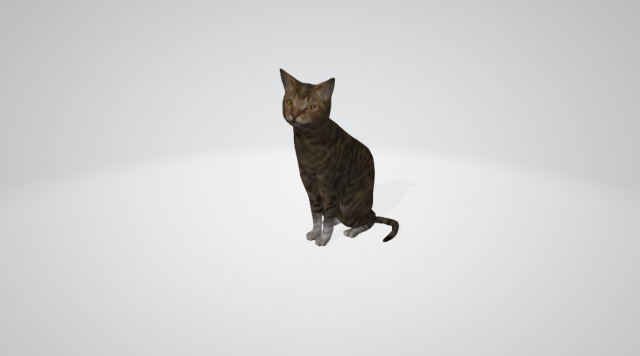 cat 3D 모델 .c4d .max .obj .3ds .fbx .stl .blend 