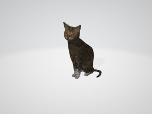 cat 3D-Modell
