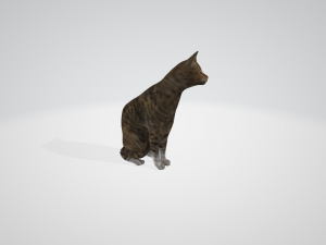 cat 3D 모델
