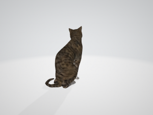 cat 3D 모델
