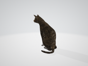 cat 3D 모델