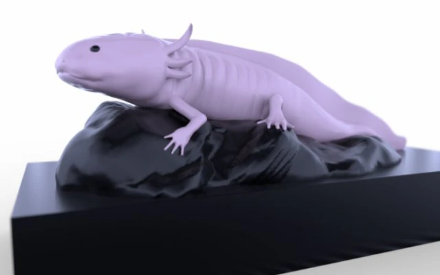 アジョローテ 3Dモデル .c4d .max .obj .3ds .fbx .stl .blend 