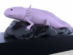 ajolote Modelo 3D
