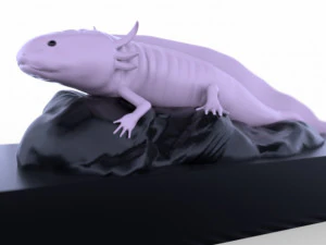 ajolote 3D Модель
