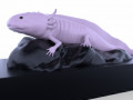 AJOLOTE 3D 모델