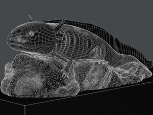 ajolote Model 3D