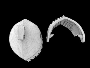 helmet bascinet griffon Model do druku 3D