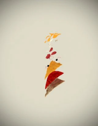fliying pizza 3D Model .c4d .max .obj .3ds .fbx .stl .blend 