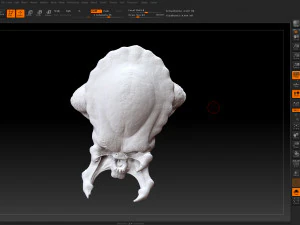 predator - character from the movie predator 3D Print Model