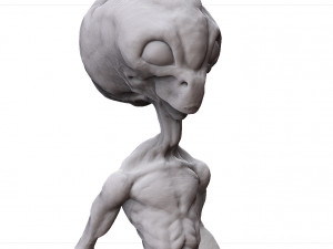 grey alien - alien gris - extraterrestre - ufo 3D Print Model