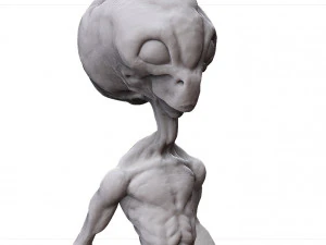 grey alien - alien gris - extraterrestre - ufo 3D Print Model