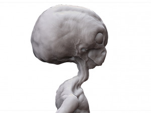 grey alien - alien gris - extraterrestre - ufo 3D Print Model