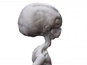 grey alien - alien gris - extraterrestre - ufo 3D Print Model