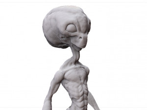 grey alien - alien gris - extraterrestre - ufo 3D Print Model