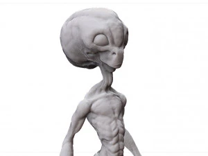 grey alien - alien gris - extraterrestre - ufo 3D Print Model