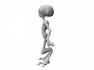 grey alien - alien gris - extraterrestre - ufo 3D Print Model