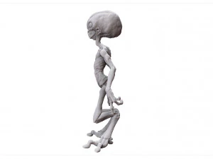grey alien - alien gris - extraterrestre - ufo 3D Print Model