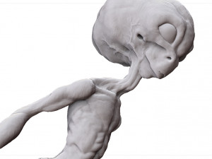 grey alien - alien gris - extraterrestre - ufo 3D Print Model