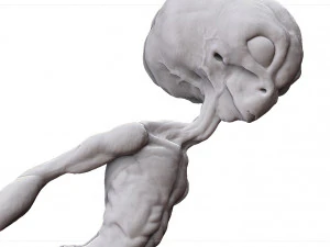 grey alien - alien gris - extraterrestre - ufo 3D Print Model