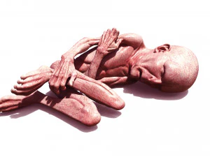 Lord Voldemort - Harry Potter - As Rel&iacute;quias dos Mortos Modelo de Impressão 3D