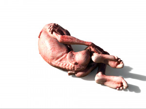 lord voldemort - harry potter - the relics of the dead Modèles 3D en vedette