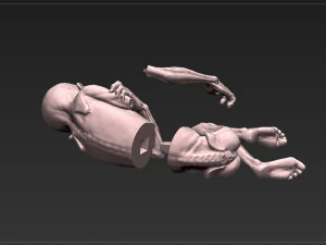 lord voldemort - harry potter - the relics of the dead 3D Print Model