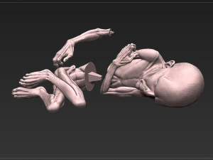 lord voldemort - harry potter - the relics of the dead 3D Print Model