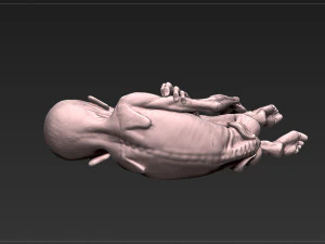lord voldemort - harry potter - the relics of the dead 3D Print Model