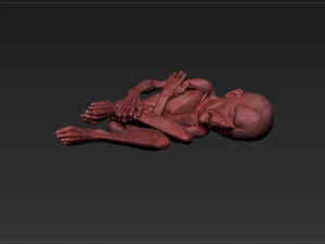 lord voldemort - harry potter - the relics of the dead 3D Print Model