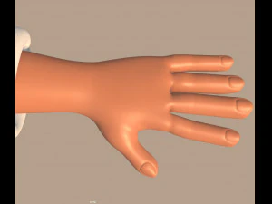 cartoon chef 3D Model