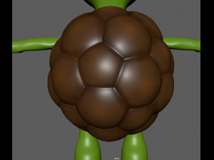 turtle 3D मॉडल