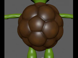tartaruga Modelo 3D