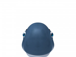 whale 3D Model