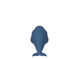 whale 3D Model