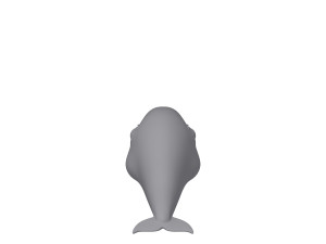 whale 3D Model