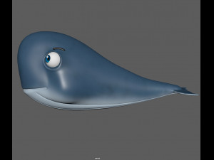 whale 3D Model