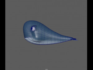 whale 3D Model